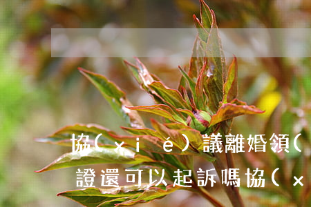 協(xié)議離婚領(lǐng)了離婚證還可以起訴嗎(協(xié)議離婚之后還可以起訴離婚嗎?)