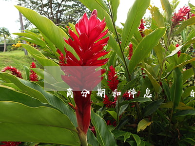 協商分期和停息掛賬的區(qū)別-