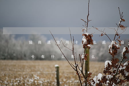 協商還信用卡怎么處理(協商還款后其他信用卡有什么影響么)