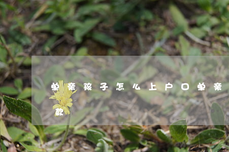 单亲孩子怎么上户口(单亲孩子怎么上户口罚款)