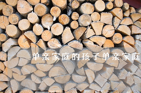 单亲家庭的孩子(单亲家庭的孩子更成功)
