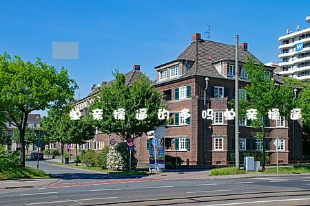 单亲操逼的多吗(单亲操逼的多吗)