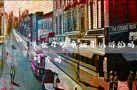 单位刁难孕妇可以诉讼吗(骚扰孕妇可以起诉对方吗)