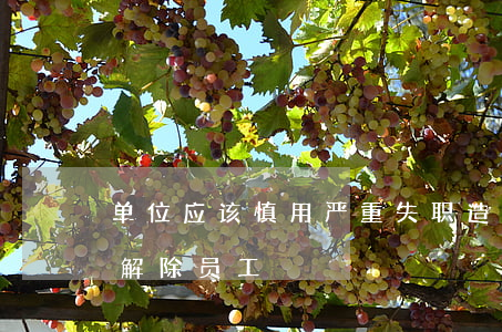 单位应该慎用“严重失职，造成重大经济损失”而解除员工！