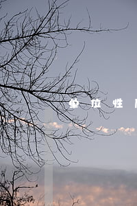 单位性质有哪些(单位性质指的是)