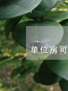 单位房可以继承吗(单位的公房有继承权吗?)