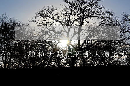 单位无力偿还个人债务(公司欠债无力偿还)