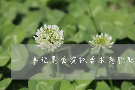 单位是否有权要求离职职工赔偿利润损失？