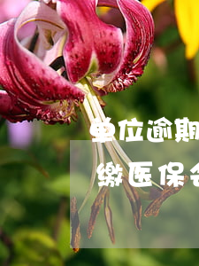 单位逾期缴医保会产生什么影响-单位逾期缴医保会产生什么影响呢