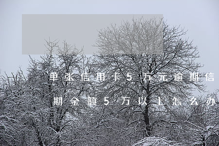 单张信用卡5万元逾期(信用卡多家信用卡逾期金额5万以上怎么办)