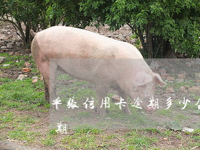 单张信用卡逾期多少会起诉(十多张信用卡逾期)