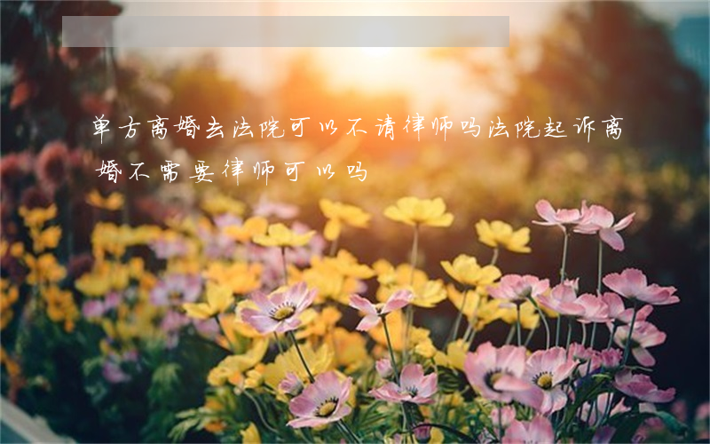 单方离婚去法院可以不请律师吗(法院起诉离婚不需要律师可以吗)