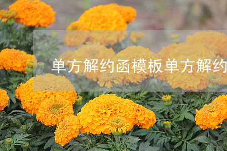 单方解约函模板(单方解约函模板)