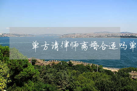 单方请律师离婚合适吗(单方找律师申请离婚)