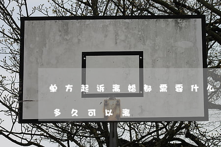 单方起诉离婚都需要什么(单一方起诉离婚要多久可以离)
