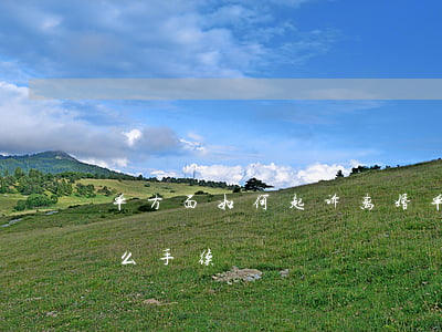 单方面如何起诉离婚(单方面起诉离婚需要什么手续)