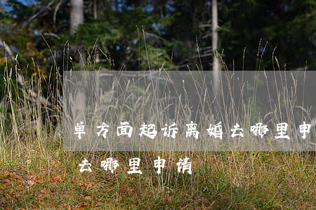 单方面起诉离婚去哪里申请(单方面起诉离婚去哪里申请?)