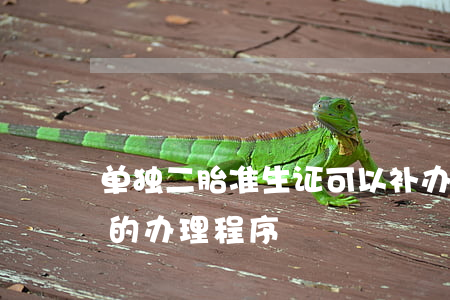 单独二胎准生证可以补办吗（单独二胎准生证的办理程序）