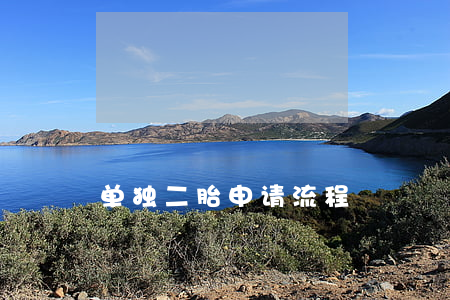 单独二胎申请流程