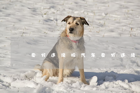 卖分违法吗(汽车卖分违法吗)