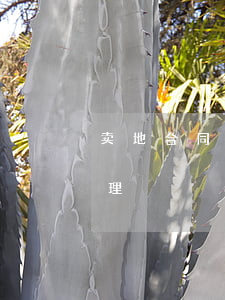 卖地合同纠纷如何处理(卖地合同纠纷如何处理)
