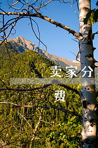 卖家分期免息手续费 淘宝卖家分期免息手续费