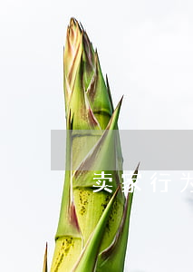 卖家行为构成欺诈,消费者应当如何维权