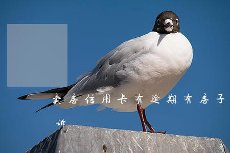 卖房信用卡有逾期(有房子信用卡逾期会被起诉)