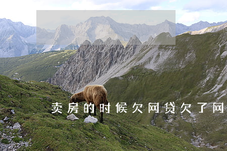 卖房的时候欠网贷(欠了网贷可以买房吗)