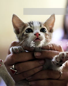 卖车合同协议书怎么写