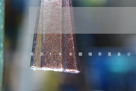 南京19年離婚率是多少(南京19年離婚率是多少)