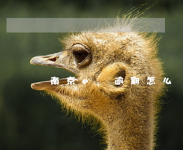 南京e貸逾期怎么辦(南京e貸還款失敗原因)