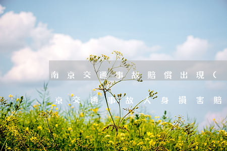南京交通事故賠償出現(xiàn)糾紛(南京交通事故人身損害賠償標(biāo)準(zhǔn))