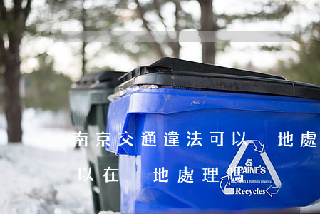 南京交通違法可以異地處理嗎(在南京違停可以在異地處理嗎)