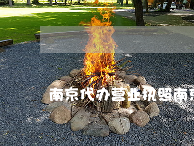南京代办营业执照(南京代办营业执照的公司)
