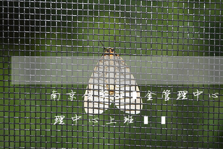 南京住房公積金管理中心(南京住房公積金管理中心上班時間)