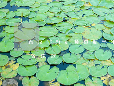 南京你好e貸逾期半年了-南京銀行e貸怎么還款