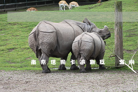 南京信用卡逾期反訴案例（南京信用卡逾期反訴）