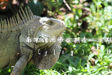 南京信用卡逾期查帳(逾期的信用卡怎么查詢應(yīng)還賬款)