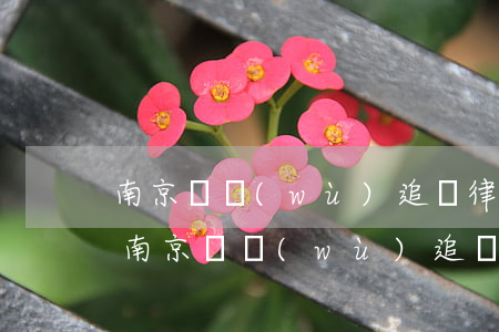 南京債務(wù)追討律師網(wǎng)(南京債務(wù)追討律師網(wǎng)站查詢)