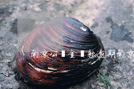 南京公積金貸款逾期(南京公積金貸款逾期)
