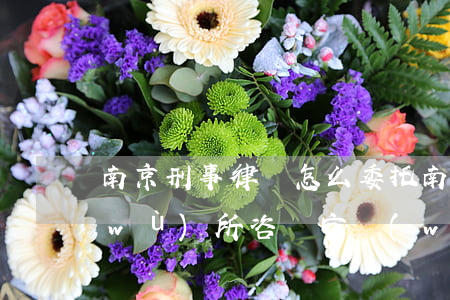 南京刑事律師怎么委托(南京刑事律師事務(wù)所咨詢官網(wǎng))