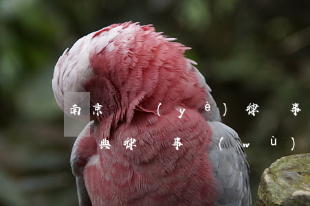 南京匯業(yè)律師事務(wù)所(江蘇匯典律師事務(wù)所)