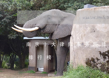 南京十大律师事务所排行榜(南京市著名律师排行榜)