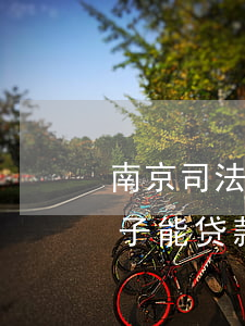 南京司法拍卖可以贷款吗(淘宝司法拍卖的房子能贷款吗)