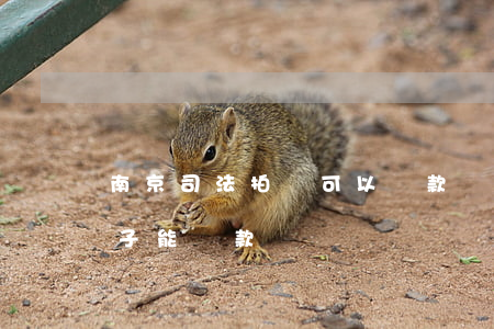 南京司法拍賣可以貸款嗎(淘寶司法拍賣的房子能貸款嗎)