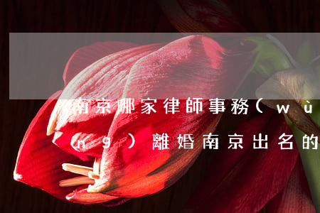 南京哪家律師事務(wù)所擅長(zhǎng)離婚(南京出名的婚姻律師事務(wù)所)