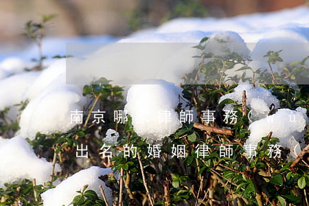 南京哪家律師事務(wù)所擅長離婚(南京出名的婚姻律師事務(wù)所)