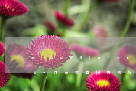 南京國家電網(wǎng)繳費逾期上征信嗎-江蘇南京國家電網(wǎng)