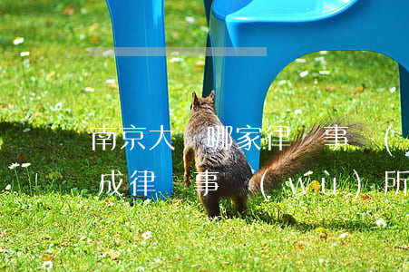 南京大廠哪家律師事務(wù)所好(南京大成律師事務(wù)所怎么樣)